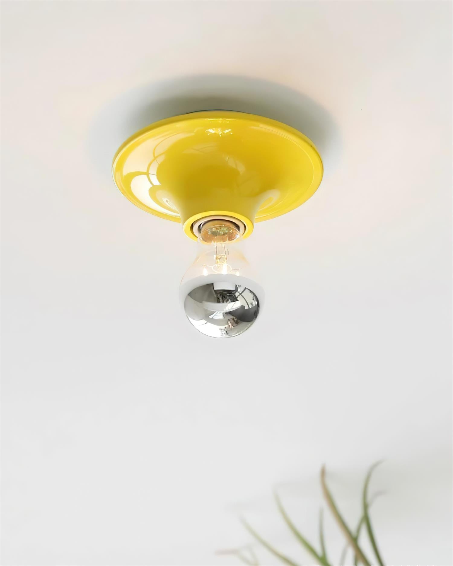 Mogendo | Radiora Wall Lamp